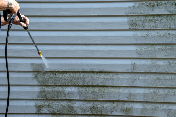 Professional Siding Installation & Repair in Cottonport, LA
